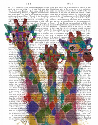 Picture of RAINBOW SPLASH GIRAFFE TRIO