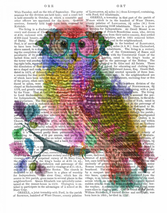 Picture of RAINBOW SPLASH OWL