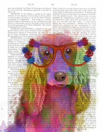 Picture of RAINBOW SPLASH COCKER SPANIEL, PORTRAIT