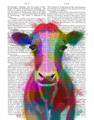 Picture of RAINBOW SPLASH COW