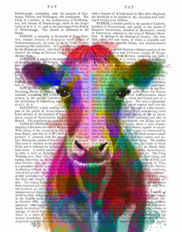 Picture of RAINBOW SPLASH COW