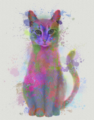 Picture of CAT RAINBOW SPLASH 4