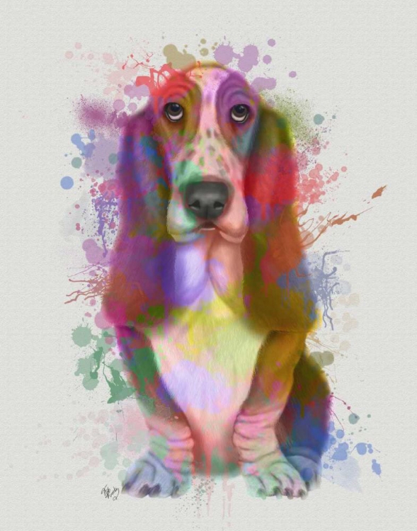 Picture of BASSET HOUND RAINBOW SPLASH