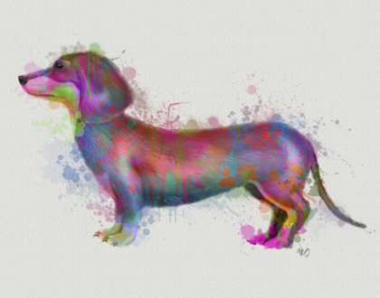 Picture of DACHSHUND RAINBOW SPLASH 1