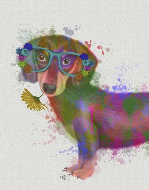 Picture of DACHSHUND AND GLASSES RAINBOW SPLASH