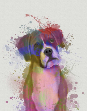 Picture of BOXER 1 PORTRAIT RAINBOW SPLASH