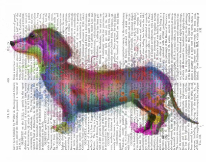 Picture of DACHSHUND RAINBOW SPLASH 1