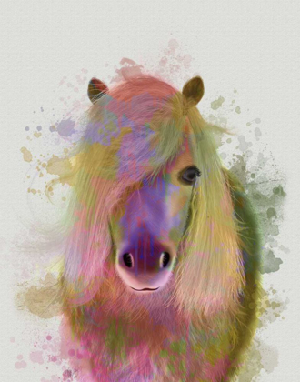 Picture of PONY 1 PORTRAIT RAINBOW SPLASH