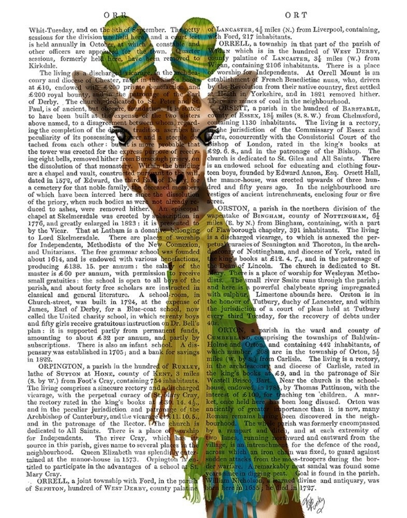 Picture of GIRAFFE AND SCARVES