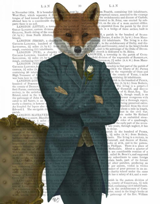 Picture of FOX VICTORIAN GENTLEMAN PORTRAIT