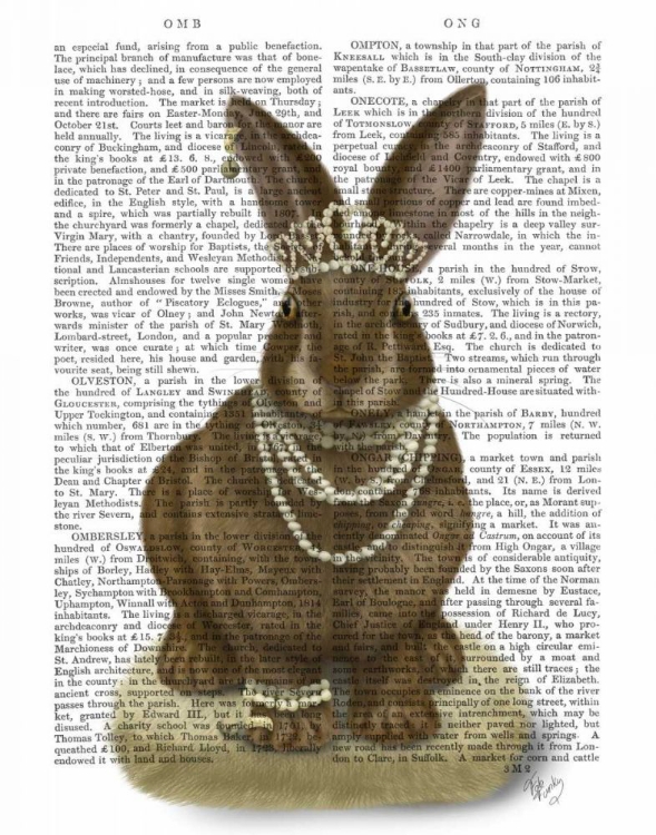 Picture of RABBIT AND PEARLS, FULL