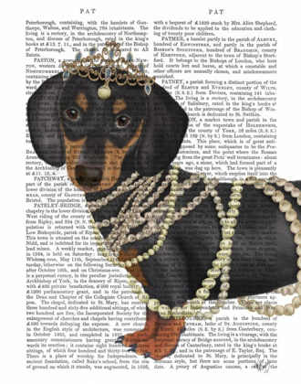 Picture of DACHSHUND AND TIARA