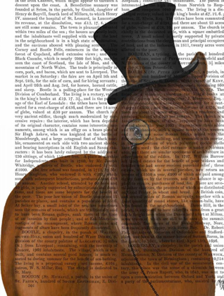 Picture of HORSE TOP HAT AND MONOCLE