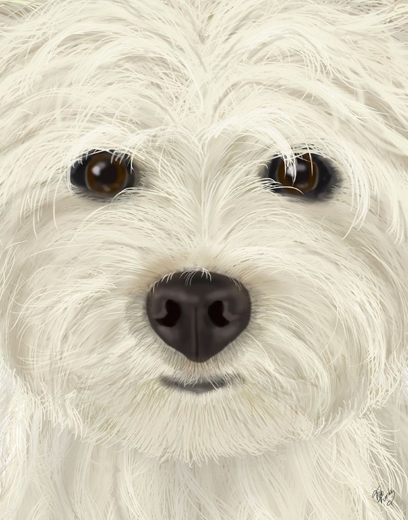 Picture of WESTIE BIG DOG