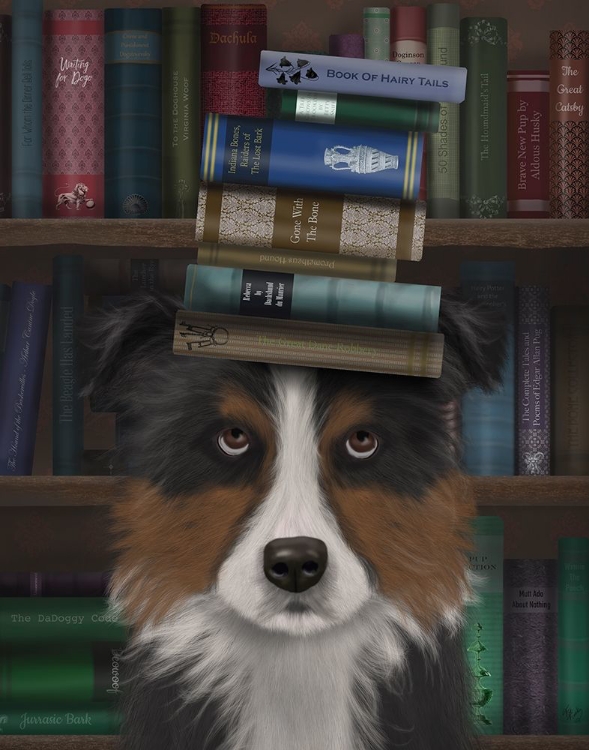 Picture of BORDER COLLIE, TRICOLOUR, AND BOOKS