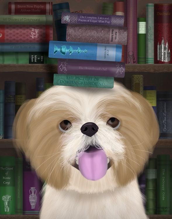 Picture of SHIH TSU AND BOOKS