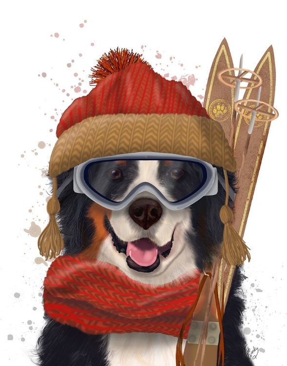 Picture of BERNESE SKI DOG