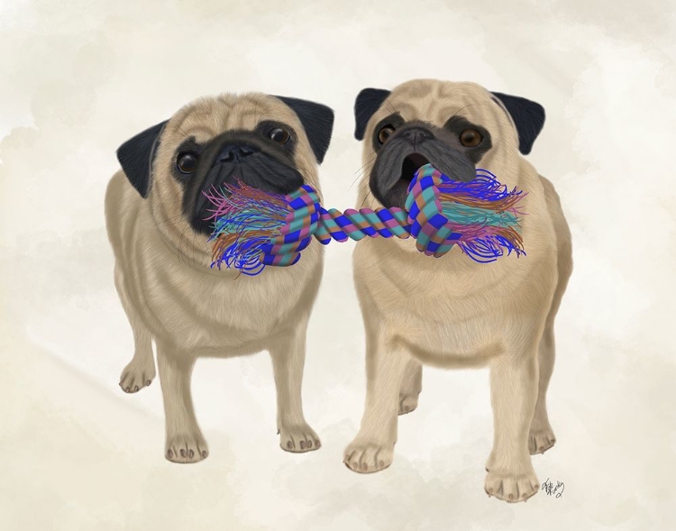 Picture of PUGS AND CLOTH BONE