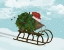 Picture of CHRISTMAS HOLLY HEDGEHOG SLEDDING