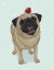 Picture of CHRISTMAS PUG AND ROBIN