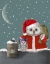 Picture of CHRISTMAS SANTA OWL