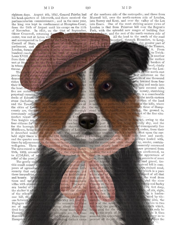 Picture of BORDER COLLIE HAT AND PINK SCARF