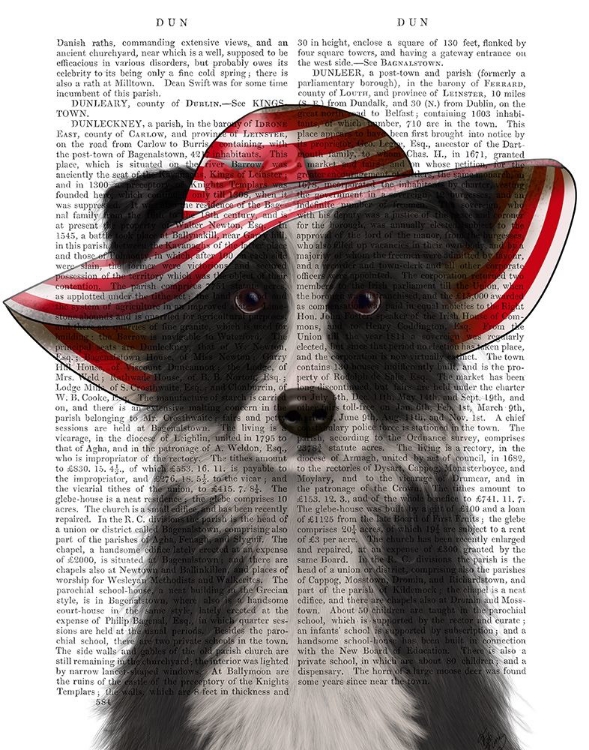 Picture of BORDER COLLIE IN RED AND WHITE FLOPPY HAT