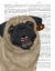 Picture of PUG, CATCH 2