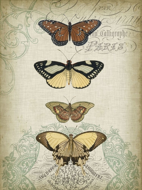 Picture of CARTOUCHE AND BUTTERFLIES I