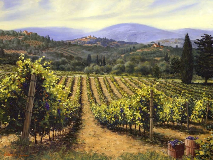 Picture of TUSCANY VINES