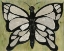 Picture of BUTTERFLY TEXT