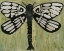 Picture of DRAGONFLY TEXT