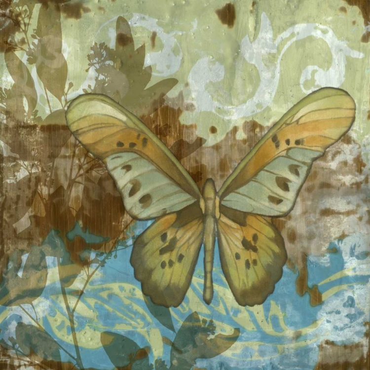 Picture of RUSTIC BUTTERFLY II