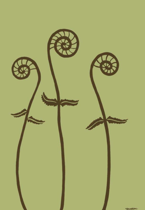 Picture of DICHROMATIC FIDDLEHEADS I