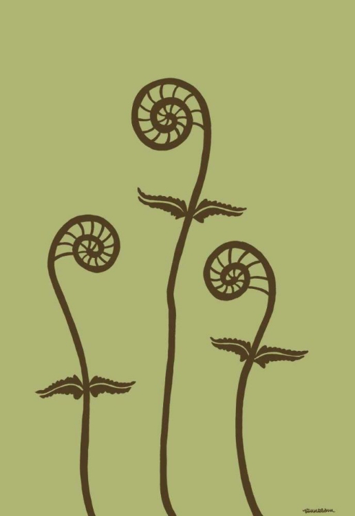 Picture of DICHROMATIC FIDDLEHEADS III