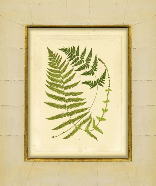 Picture of FERN WITH CRACKLE MAT III