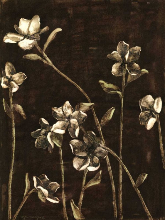 Picture of MEDIUM BLOSSOM NOCTURNE I 