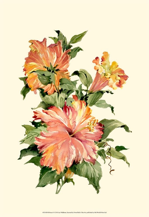 Picture of HIBISCUS I