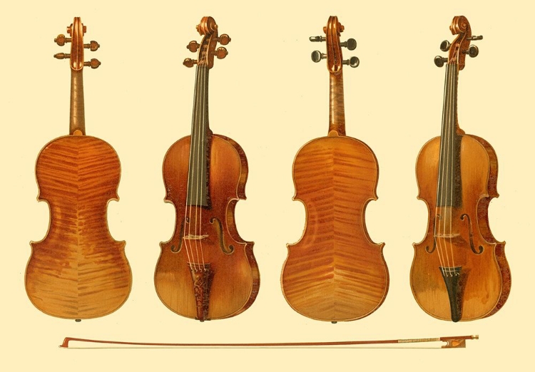 Picture of ANTIQUE VIOLINS I