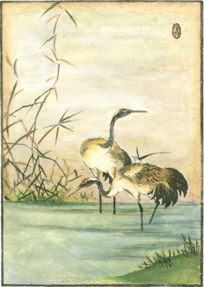 Picture of ORIENTAL CRANES II