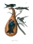 Picture of PURPLE MARTIN