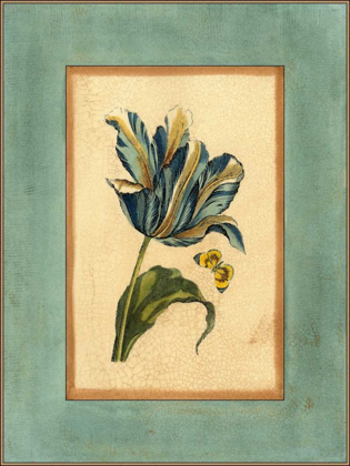 Picture of CRACKLED SPA BLUE TULIP II