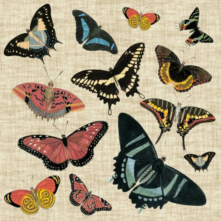 Picture of BUTTERFLIES AND LINEN II