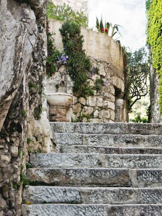 Picture of COBBLED WALKWAY III