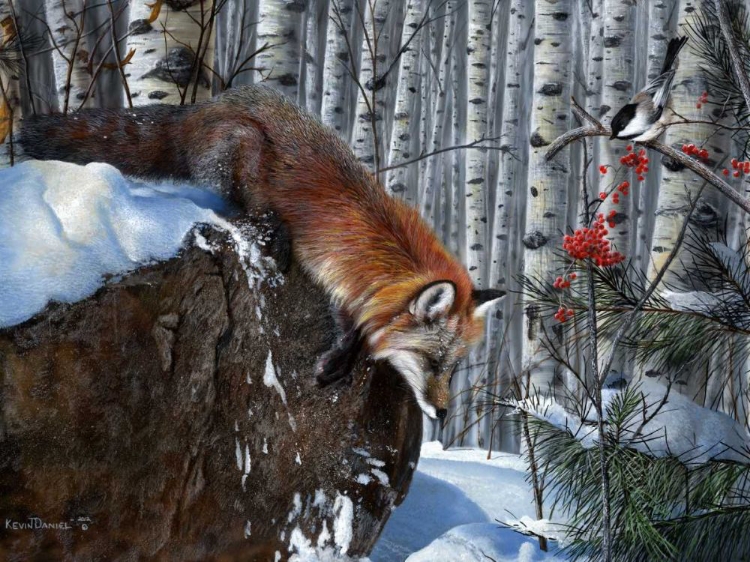 Picture of FOX IN WINTER