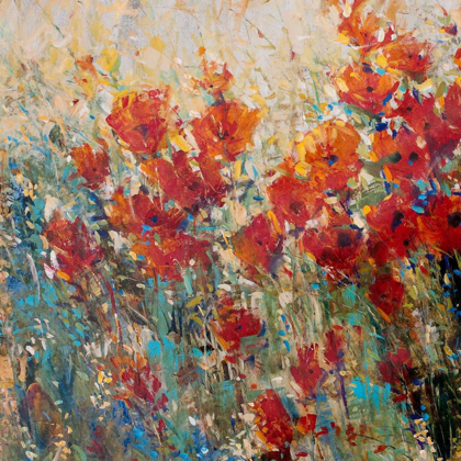 Picture of RED POPPY FIELD I