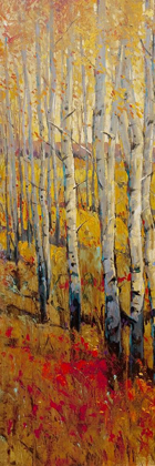 Picture of CUSTOM VIVID BIRCH FOREST I (ASH)