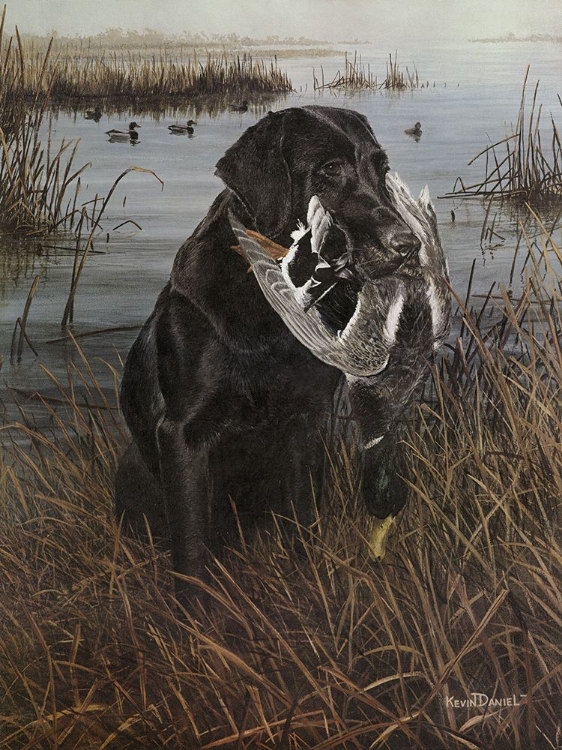 Picture of A FRIEND IN THE MARSH