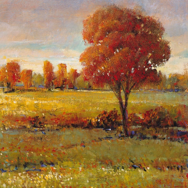 Picture of FIELD IN FALL