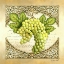 Picture of WINE GRAPES II